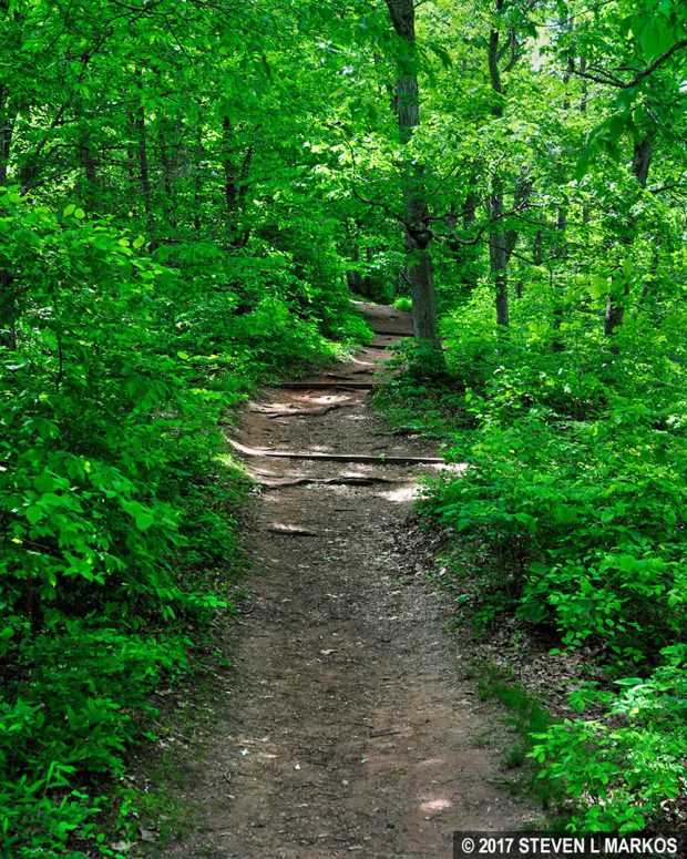 Steep hill past the footbridge on the Stone Bridge Loop Trail in Manassas National Battlefield Park