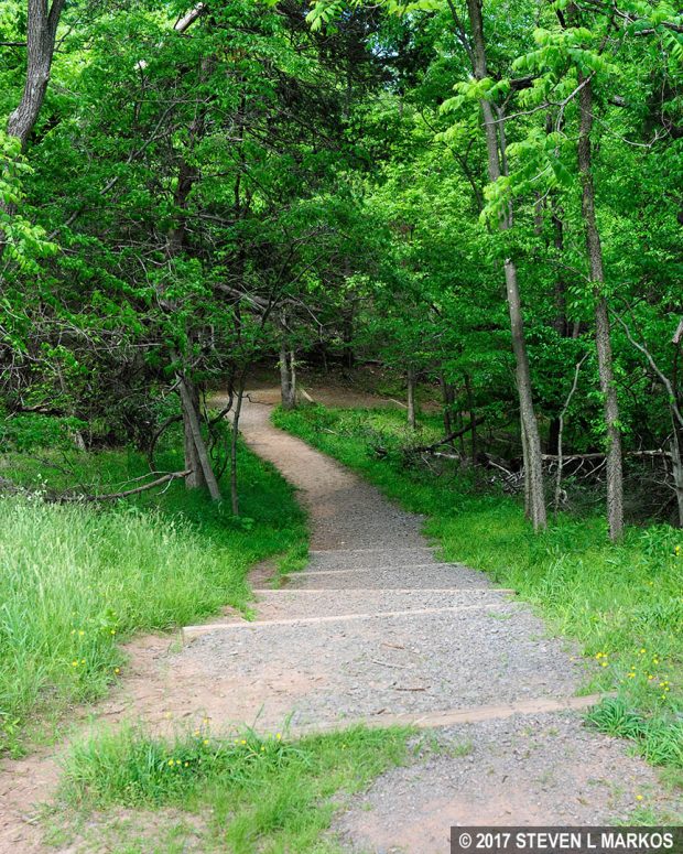 A glance down the shortcut on the Stone Bridge Loop Trail at Manassas National Battlefield Park