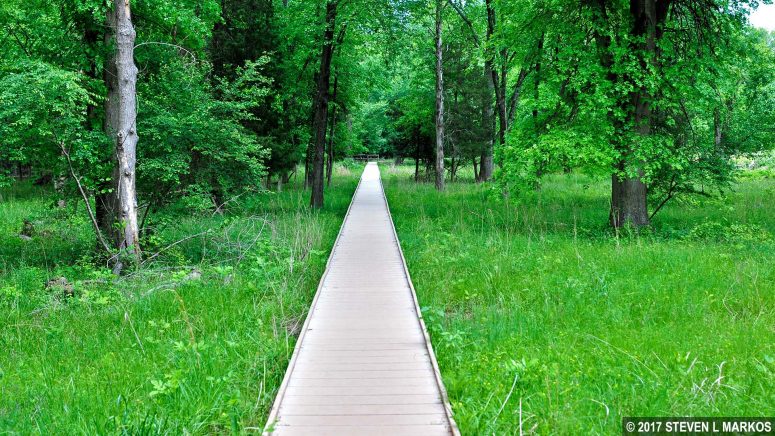 Boardwalk on the southern side of the Stone Bridge Loop Trail at Manassas National Battlefield Park