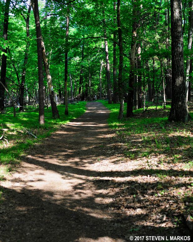 Typical terrain of the southern half of the First Manassas Trail in Manassas National Battlefield Park