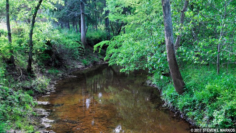 The First Manassas Trail crosses Youngs Branch on its southeastern side, Manassas National Battlefield Park