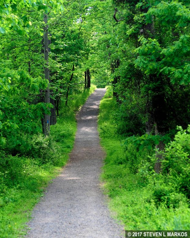 Typical terrain of the First Manassas Trail near Matthews Hill, Manassas National Battlefield Park