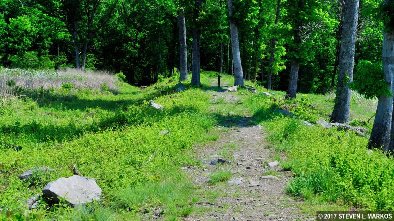Elevated railroad bed of the Unfinished Railroad in Manassas National Battlefield Park