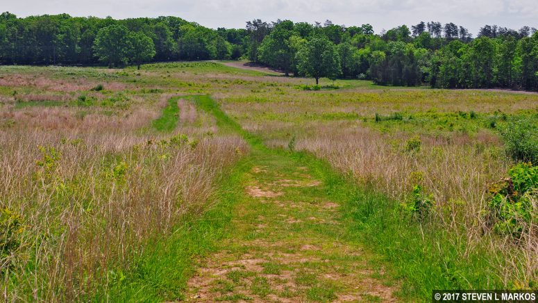 Mowed path south of the Second Manassas Monument, Manassas National Battlefield Park