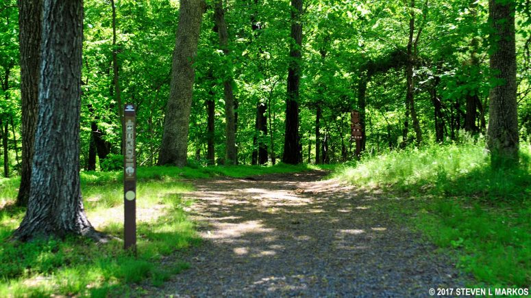 Second Manassas Trail is open to both hikers and horseback riders from the New York Monuments to Chinn Ridge, Manassas National Battlefield Tour