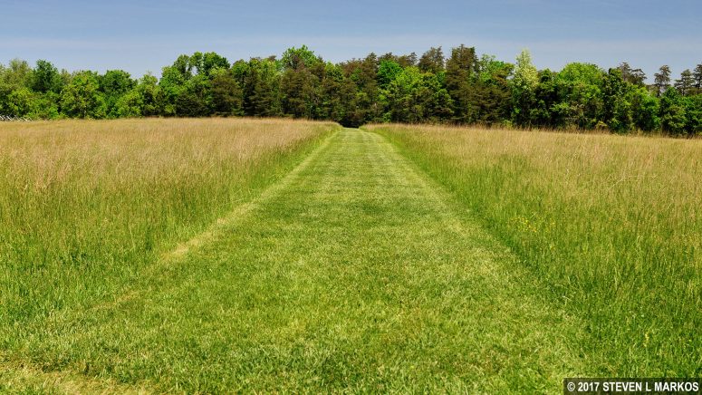 The southern end of the Matthews Hill Loop Trail follows the Confederate battle line, Manassas National Battlefield Park
