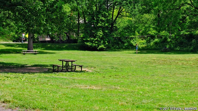 Tables in the field at Rock Creek Park's Picnic Area #1