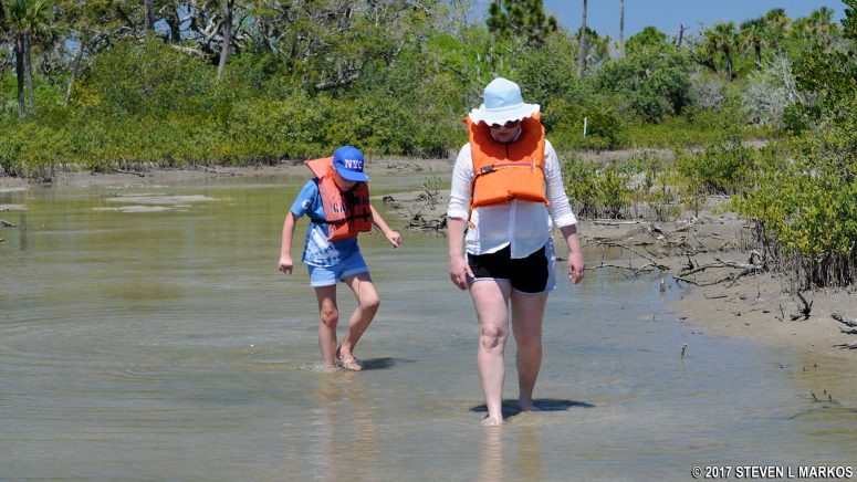 Walking through the shallow water between Markers #19 and #20 on the Shipyard Island Canoe Trail, Canaveral National Seashore