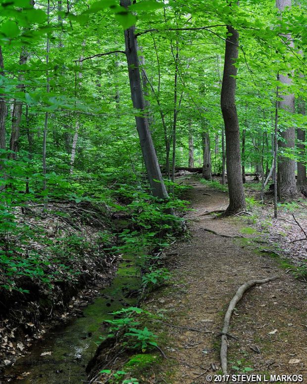 Typical terrain of the Aqueduct Trail when near Primrose Brook, Morristown National Historical Park
