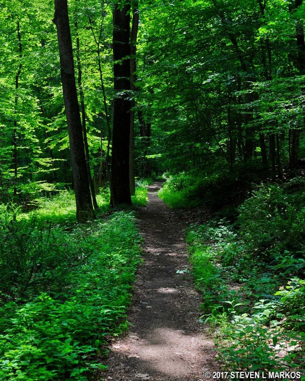 Typical terrain along the western side of the Aqueduct Trail in the Jockey Hollow unit of Morristown National Historical Park