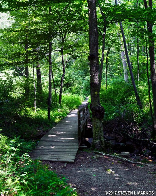 Bridge at the merger of the Aqueduct, Yellow, and Orange trails in the Jockey Hollow unit of Morristown National Historical Park