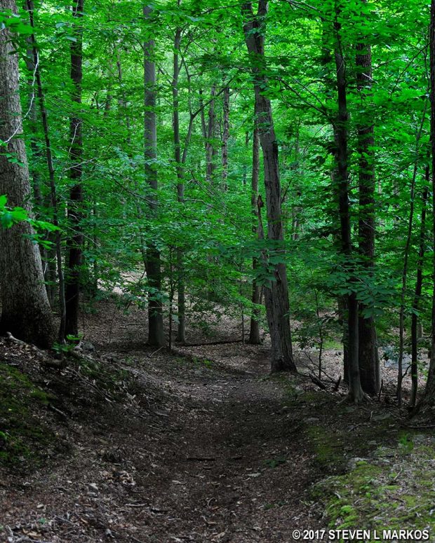 Steep hill on the Patriots' Path near the New Jersey Brigade Encampment Site, Morristown National Historical Park