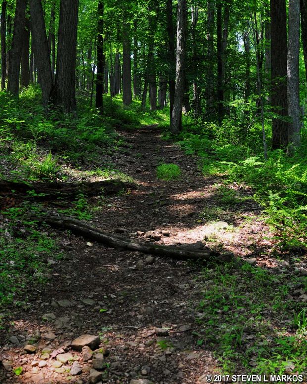 Typical terrain at the start of the Grand Loop Trail near the Pennsylvania Line parking lot, Morristown National Historical Park