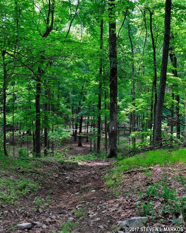 Steep descent down the Grand Loop Trail to Tempe Wick Road in the Jockey Hollow unit of Morristown National Historical Park
