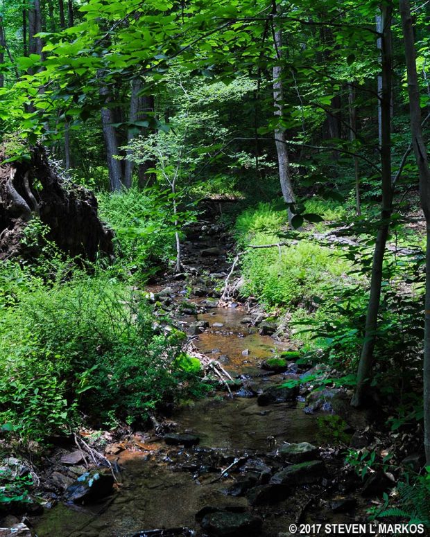 The Grand Loop Trail crosses a small creek just before Tempe Wick Road in the Jockey Hollow unit of Morristown National Historical Park