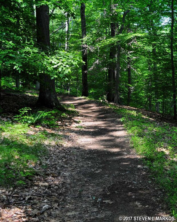 Typical terrain on the Grand Loop Trail between the Mendham Road and Red trails, Morristown National Historical Park