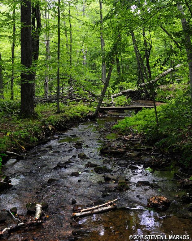 The Grand Loop Trail crosses Primrose Brook in the Jockey Hollow unit of Morristown National Historical Park