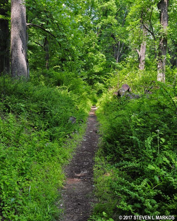 Typical terrain at the northern end of the Grand Loop Trail near Jockey Hollow Road, Morristown National Historical Park