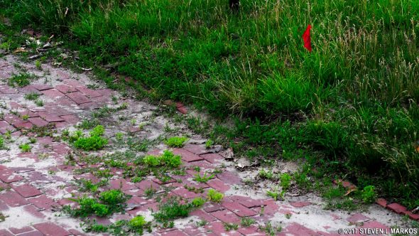 Example of the sandy soil and imported top soil at Fort Hancock on Sandy Hook, Gateway National Recreation Area
