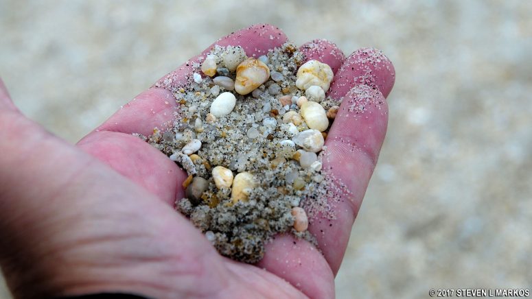 Pebbles in the sand at Beach C in the Sandy Hook unit of Gateway National Recreation Area