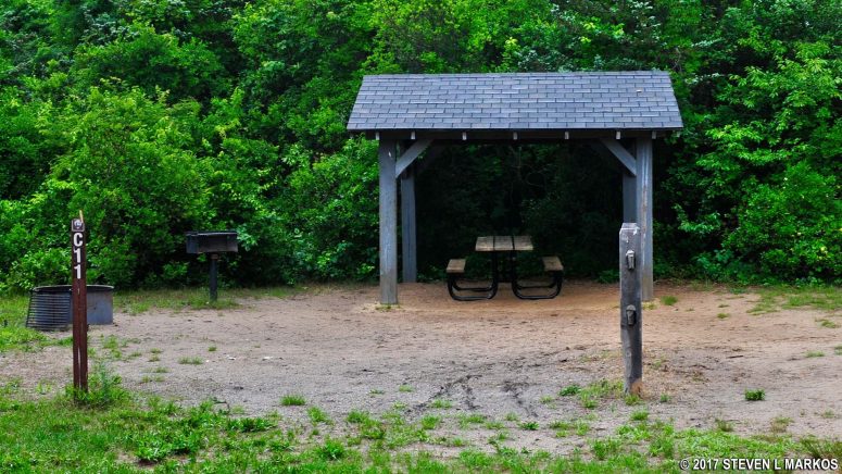 Campsite C11 at Camp Gateway Sandy Hook, Gateway National Recreation Area