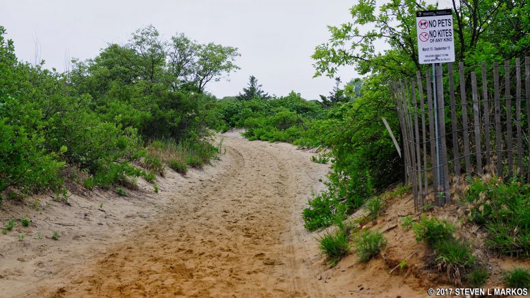Start of the sandy section of the Fishermen’s Trail in the Sandy Hook unit of Gateway National Recreation Area