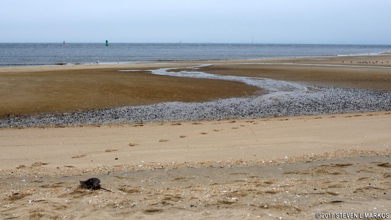 Sandy Hook Bay at the end of the Fishermen’s Trail in the Sandy Hook unit of Gateway National Recreation Area
