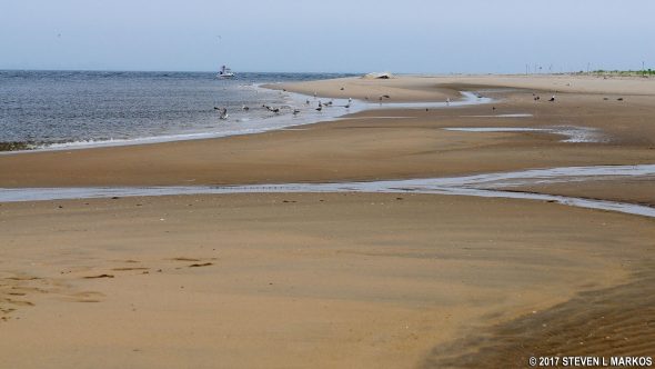 Fishermen’s Trail in the Sandy Hook unit of Gateway National Recreation Area leads to Sandy Hook Bay at the northern tip of the peninsula