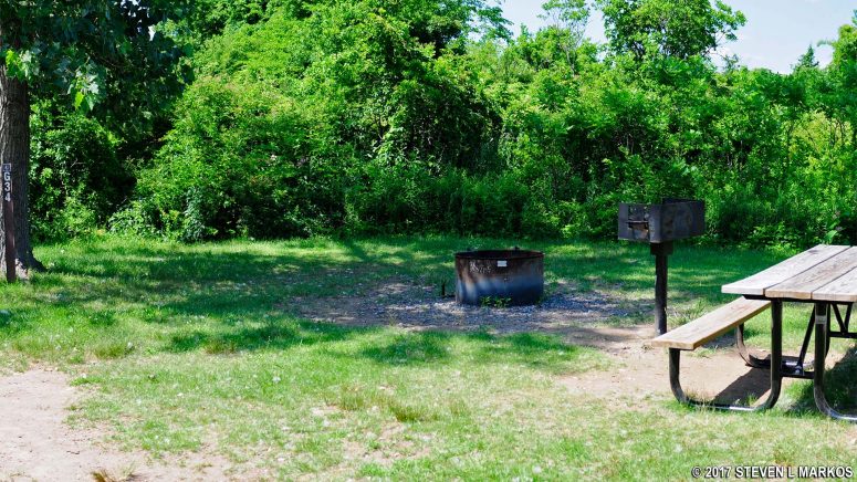 Goldenrod Site G34 at Camp Gateway Brooklyn, Gateway National Recreation Area