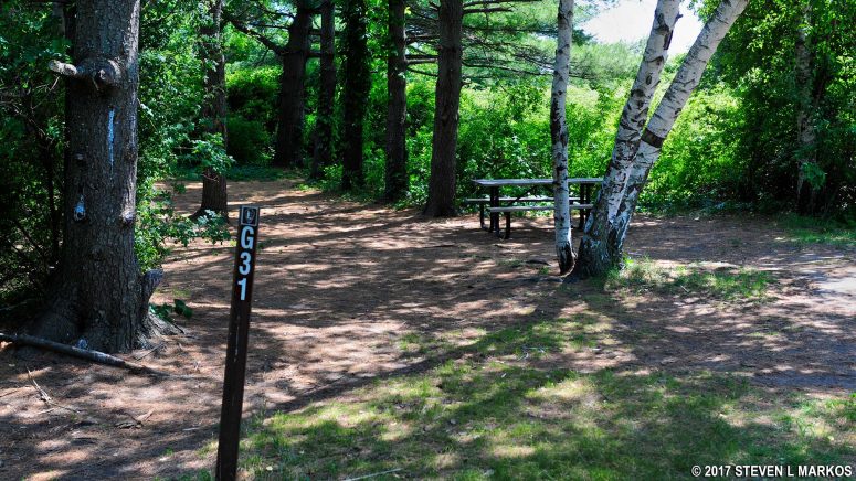 Goldenrod Site G31 at Camp Gateway Brooklyn, Gateway National Recreation Area