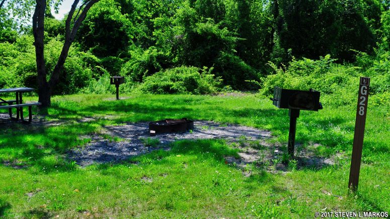 Goldenrod Site G28 at Camp Gateway Brooklyn, Gateway National Recreation Area