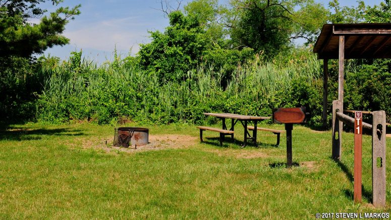 Campsite typical of those at the Tamarack section of Camp Gateway Brooklyn, Gateway National Recreation Area