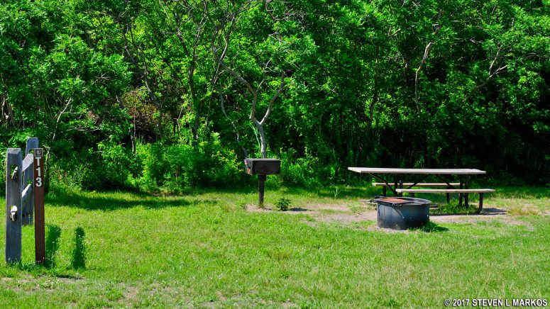 Tamarack Site T13 at Camp Gateway Brooklyn, Gateway National Recreation Area