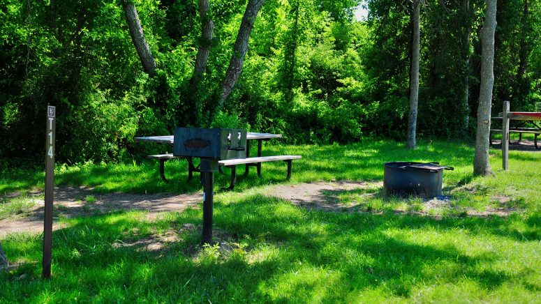 Tamarack Site T14 at Camp Gateway Brooklyn, Gateway National Recreation Area