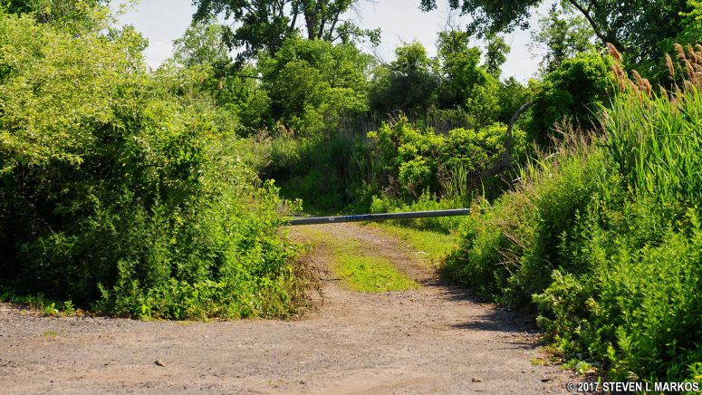 Trail into the North Forty Natural Area at Floyd Bennett Field, Gateway National Recreation Area