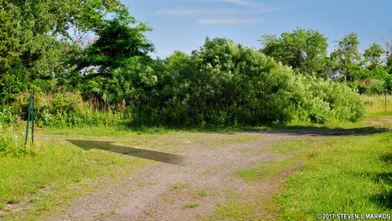 Start of the hike back north on the trails in the North Forty Natural Area at Floyd Bennett Field, Gateway National Recreation Area
