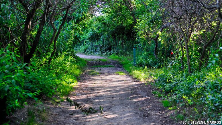 Start of the hike to Bottle Beach near Floyd Bennett Field, Gateway National Recreation Area