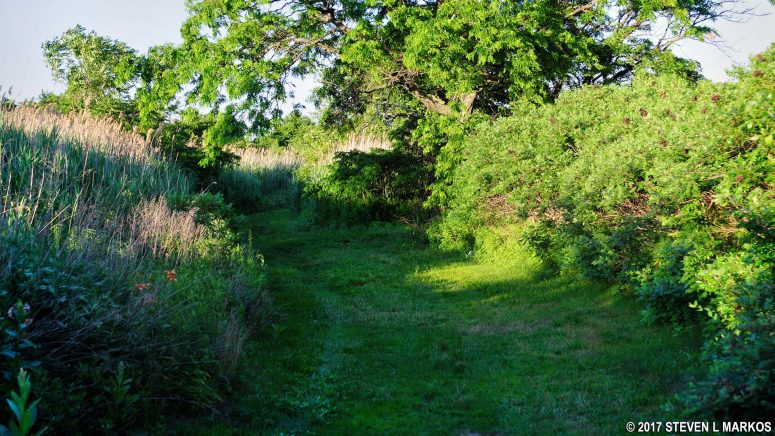Saltmarsh Trail near Floyd Bennett Field, Gateway National Recreation Area