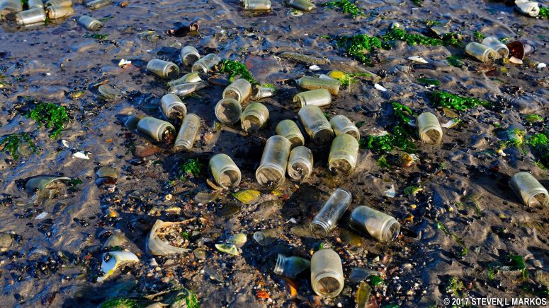 Hundreds of intact jars remain on Bottle Beach at Floyd Bennett Field in Brooklyn