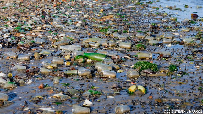 Bottles on Bottle Beach at Floyd Bennett Field, Gateway National Recreation Area
