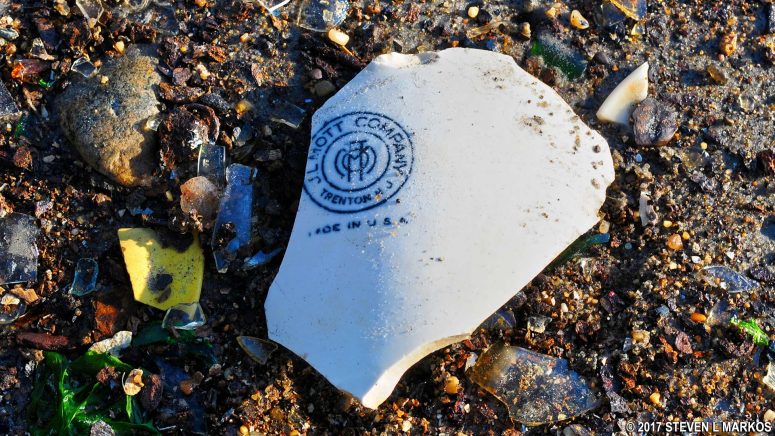 Piece of porcelain on Bottle Beach, Gateway National Recreation Area