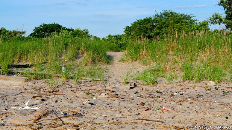 Trailhead for the Saltmarsh Trail on Bottle Beach, Gateway National Recreation Area