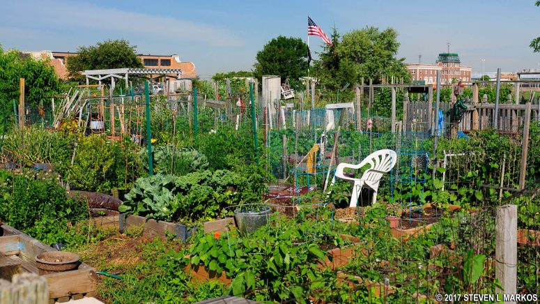 Community Garden at Floyd Bennett Field, Gateway National Recreation Area