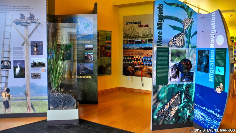 Exhibits at the Jamaica Bay Wildlife Refuge Visitor Center, Gateway National Recreation Area