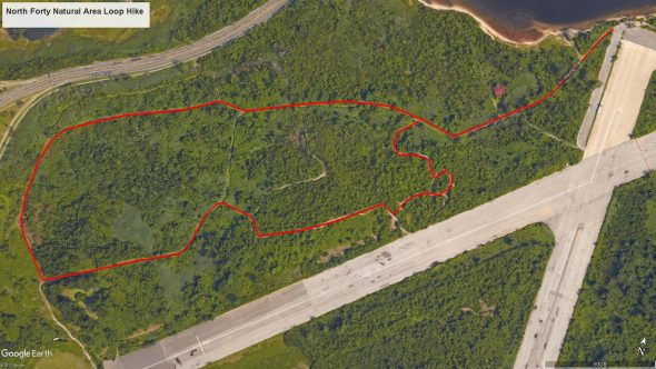 North Forty Loop Hike