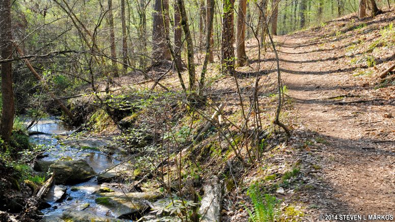 Small creek running along side of the trail near Intersection BI 3 in the Bowmans Island Unit of Chattahoochee River National Recreation Area