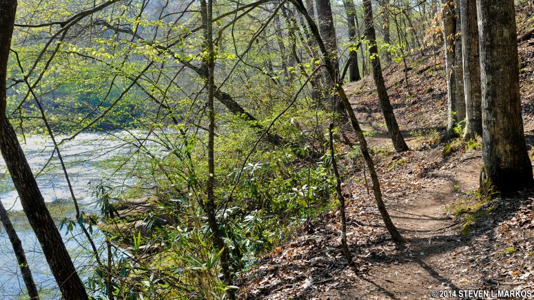 Trail in the Bowmans Island Unit of Chattahoochee River National Recreation Area near Intersection BI 20 runs right along the Chattahoochee River