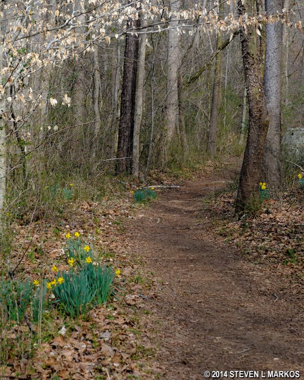 Johnson Ferry North Trail along Mulberry Creek between intersections JN 6 and JN 4, Chattahoochee River National Recreation Area