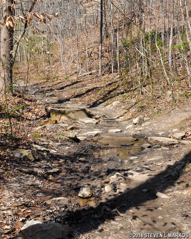 Trail in the Columns Drive section the Cochran Shoals Unit from Intersection CS 17 to CS 15 is rocky and potentially muddy, Chattahoochee River National Recreation Area