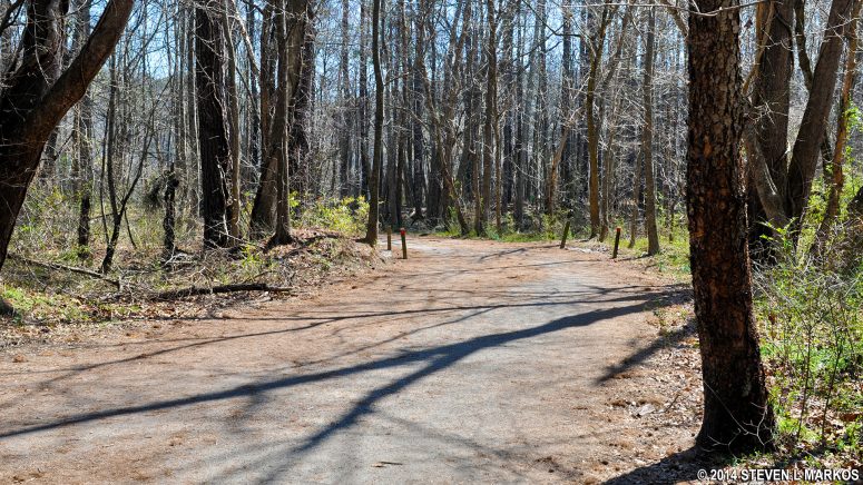 Typical terrain of the Fitness Trail in the Columns Drive section of Chattahoochee River National Recreation Area
